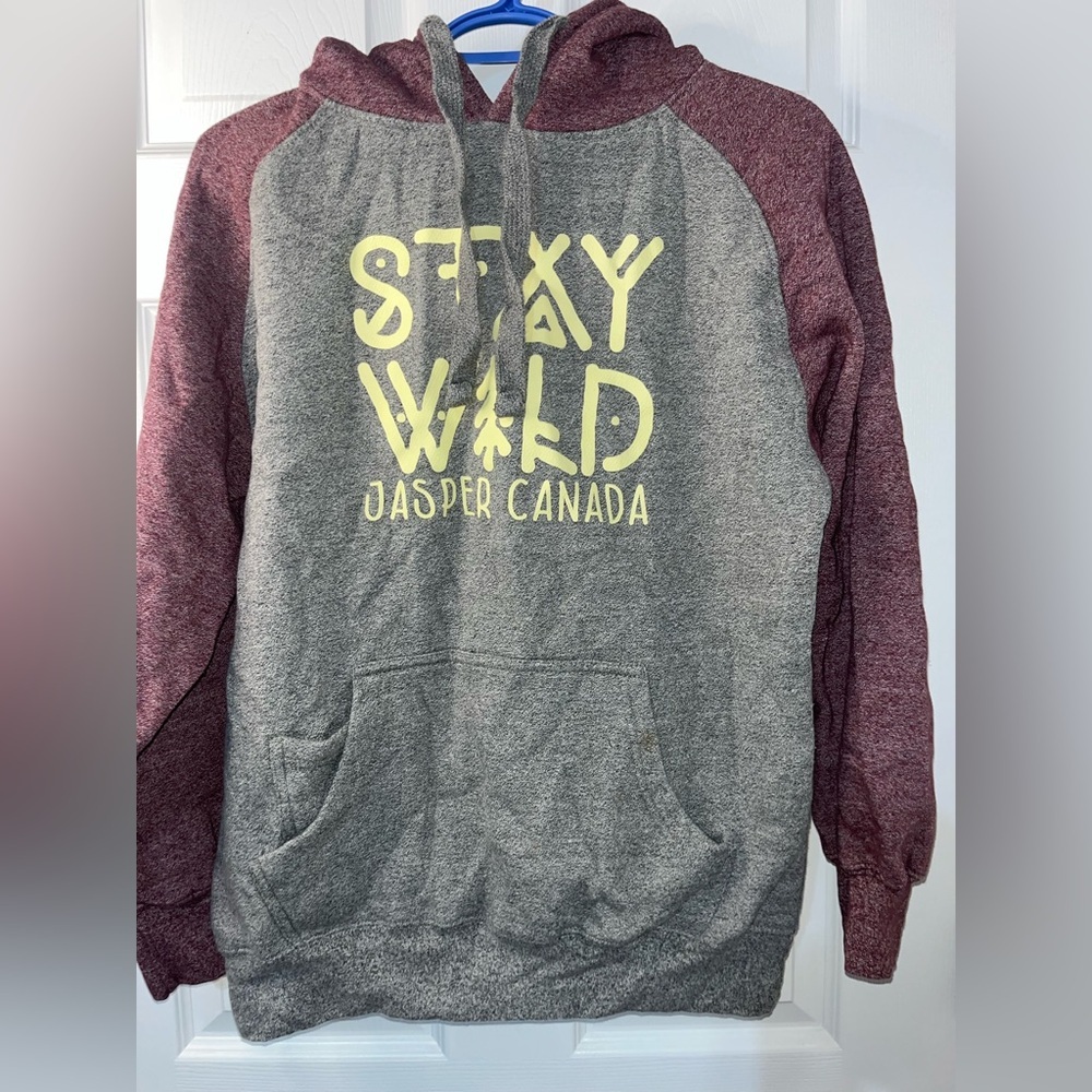 Gray and Maroon Hoodie Jasper